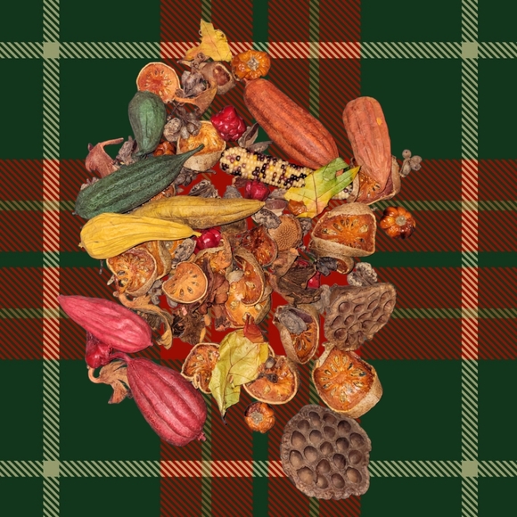 Dried Various Items Aprox 50 Items ( 1" to 4" each) - Picture 1 of 7